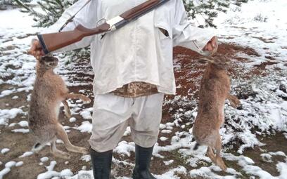 Jagd auf Hasen in Belarus