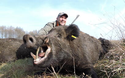 Jagd auf Wildschwein in Belarus