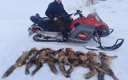 Jagd auf Fuchs in Belarus