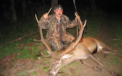 Deer hunting in Belarus