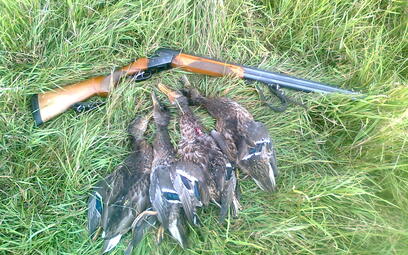 Duck hunting in Belarus